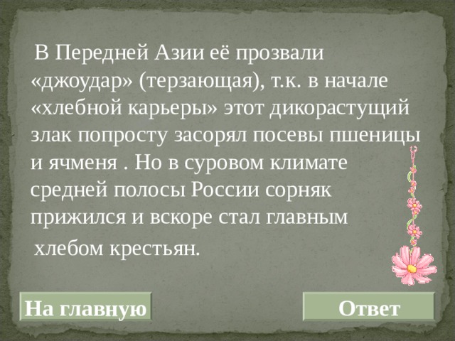  В Передней Азии её прозвали «джоудар» (терзающая), т.к. в начале «хлебной карьеры» этот дикорастущий злак попросту засорял посевы пшеницы и ячменя . Но в суровом климате средней полосы России сорняк прижился и вскоре стал главным  хлебом крестьян. На главную Ответ 