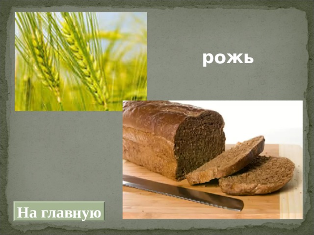 рожь На главную 