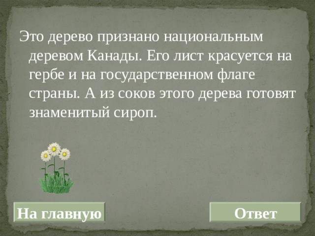Это дерево признано национальным деревом Канады. Его лист красуется на гербе и на государственном флаге страны. А из соков этого дерева готовят знаменитый сироп. На главную Ответ 