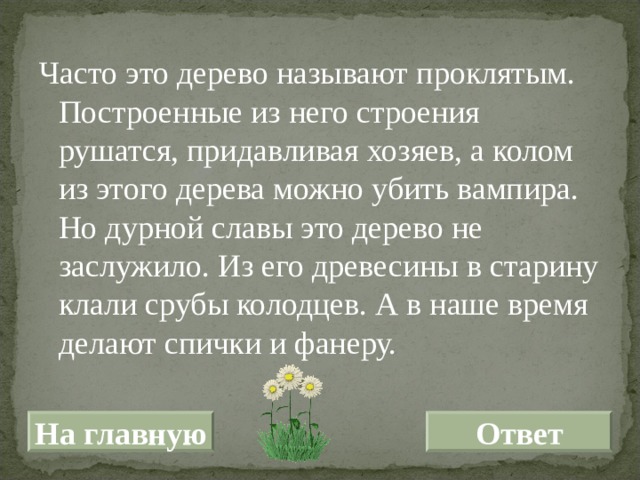 Часто это дерево называют проклятым. Построенные из него строения рушатся, придавливая хозяев, а колом из этого дерева можно убить вампира. Но дурной славы это дерево не заслужило. Из его древесины в старину клали срубы колодцев. А в наше время делают спички и фанеру. На главную Ответ 