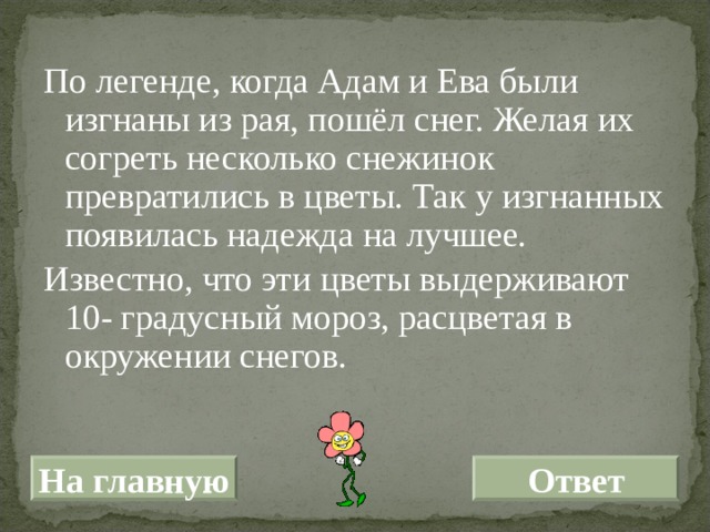 По легенде, когда Адам и Ева были изгнаны из рая, пошёл снег. Желая их согреть несколько снежинок превратились в цветы. Так у изгнанных появилась надежда на лучшее. Известно, что эти цветы выдерживают 10- градусный мороз, расцветая в окружении снегов. На главную Ответ 