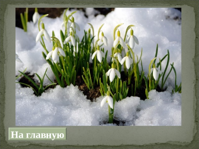 На главную 