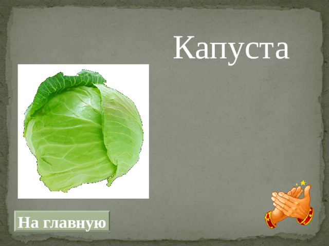  Капуста На главную 