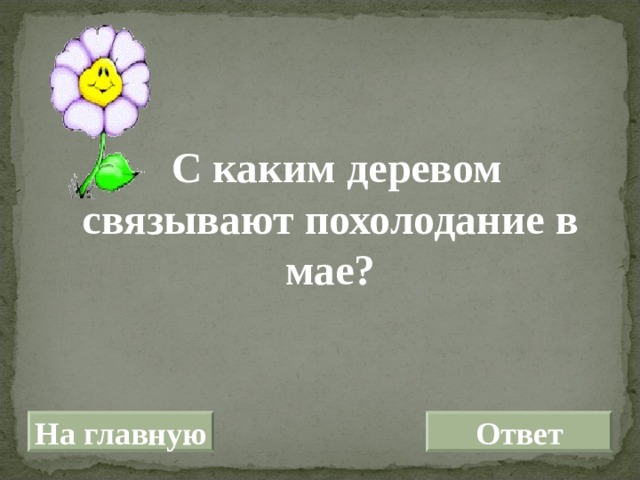  С каким деревом связывают похолодание в мае? На главную Ответ 