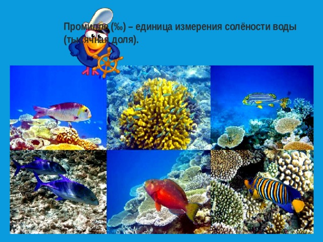 Промилле (‰) – единица измерения солёности воды (тысячная доля). 