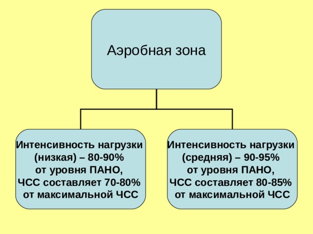 Аэробная зона Интенсивность нагрузки (низкая) – 80-90% от уровня ПАНО, ЧСС составляет 70-80% от максимальной ЧСС Интенсивность нагрузки (средняя) – 90-95% от уровня ПАНО, ЧСС составляет 80-85% от максимальной ЧСС  
