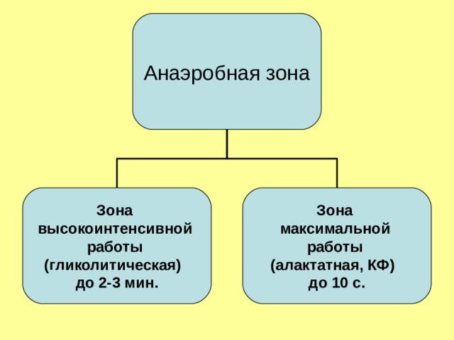 Анаэробная зона Зона высокоинтенсивной работы (гликолитическая) до 2-3 мин. Зона максимальной работы (алактатная, КФ) до 10 с.  
