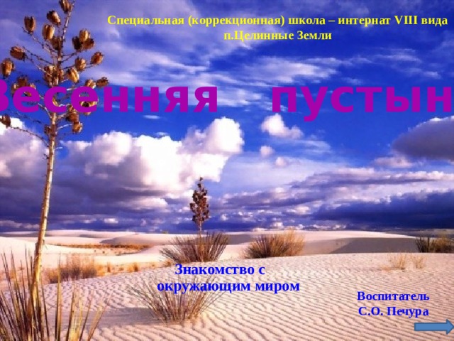 Специальная (коррекционная) школа – интернат VIII вида п.Целинные Земли Весенняя пустыня. Знакомство с окружающим миром Воспитатель С.О. Печура 