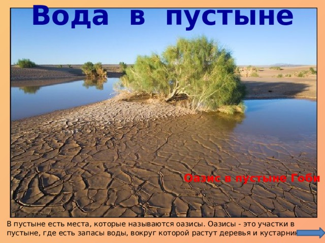 Вода в пустыне   Оазис в пустыне Гоби В пустыне есть места, которые называются оазисы. Оазисы - это участки в пустыне, где есть запасы воды, вокруг которой растут деревья и кустарники. 