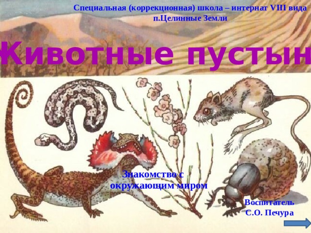 Специальная (коррекционная) школа – интернат VIII вида п.Целинные Земли Животные пустынь. Знакомство с окружающим миром Воспитатель С.О. Печура 