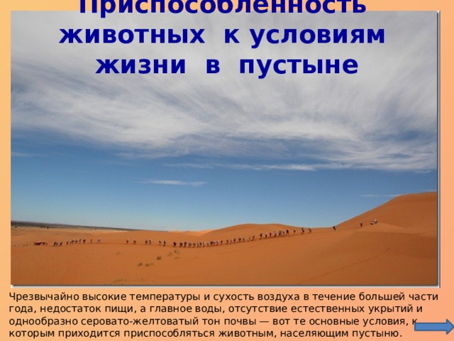 Приспособленность животных к условиям жизни в пустыне   Чрезвычайно высокие температуры и сухость воздуха в течение большей части года, недостаток пищи, а главное воды, отсутствие естественных укрытий и однообразно серовато-желтоватый тон почвы — вот те основные условия, к которым приходится приспособляться животным, населяющим пустыню. 