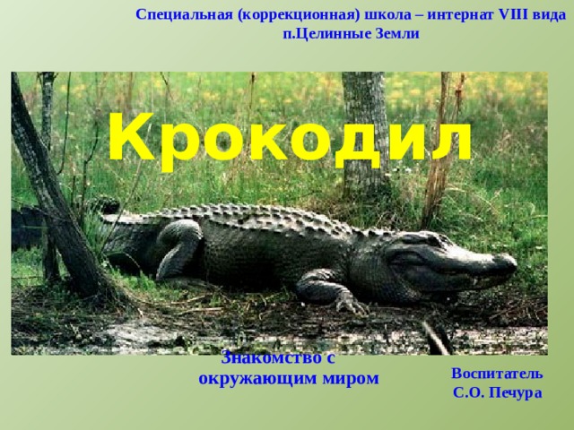 Специальная (коррекционная) школа – интернат VIII вида п.Целинные Земли Крокодил Знакомство с окружающим миром Воспитатель С.О. Печура  