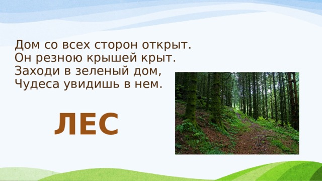 Дом со всех сторон открыт.  Он резною крышей крыт.  Заходи в зеленый дом,  Чудеса увидишь в нем.   ЛЕС 