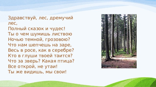 Здравствуй, лес, дремучий лес, Полный сказок и чудес! Ты о чем шумишь листвою Ночью темной, грозовою? Что нам шепчешь на заре, Весь в росе, как в серебре? Кто в глуши твоей таится? Что за зверь? Какая птица? Все открой, не утаи! Ты же видишь, мы свои! 
