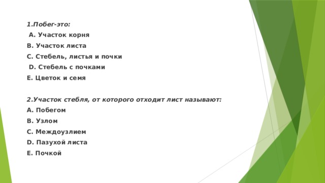 1.Побег-это:  А. Участок корня В. Участок листа С. Стебель, листья и почки  D. Стебель с почками Е. Цветок и семя  2.Участок стебля, от которого отходит лист называют: А. Побегом В. Узлом С. Междоузлием D. Пазухой листа Е. Почкой 