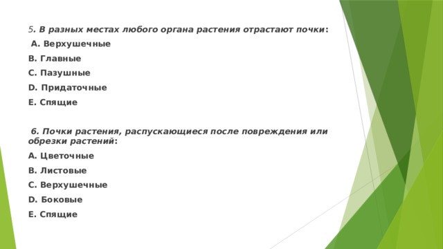 5 . В разных местах любого органа растения отрастают почки :  А. Верхушечные В. Главные С. Пазушные D. Придаточные Е. Спящие   6. Почки растения, распускающиеся после повреждения или обрезки растений : А. Цветочные В. Листовые С. Верхушечные D. Боковые Е. Спящие  