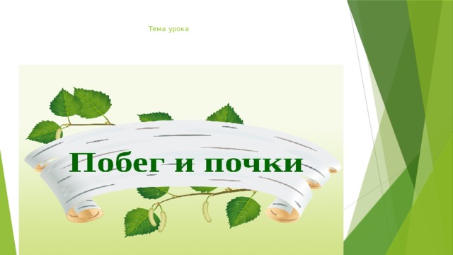 Тема урока 