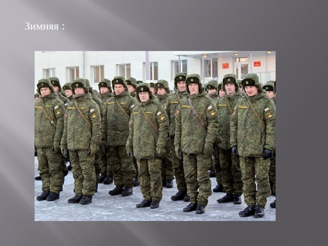 Зимняя : 