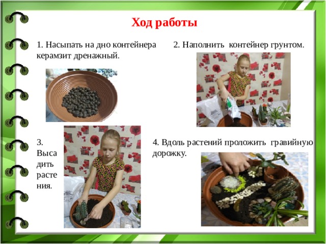 Ход работы 1. Насыпать на дно контейнера керамзит дренажный . 2. Наполнить контейнер грунтом . 3. Высадить растения . 4. Вдоль растений проложить  гравийную дорожку. 