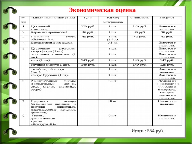 Экономическая оценка Итого : 554 руб. 