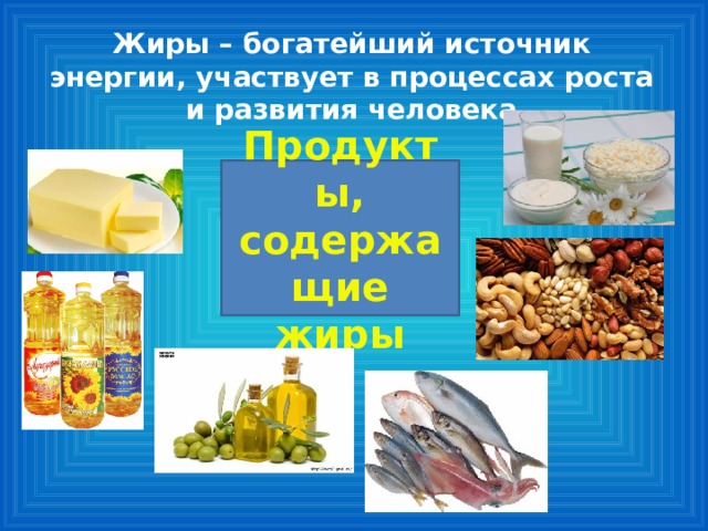 Жиры – богатейший источник энергии, участвует в процессах роста и развития человека Продукты, содержащие жиры 