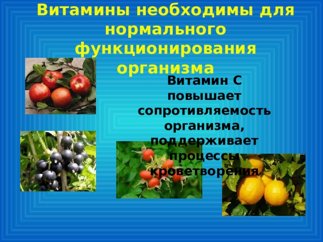 Витамины необходимы для нормального функционирования организма Витамин С повышает сопротивляемость организма, поддерживает процессы кроветворения 