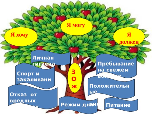 Я могу Я хочу Я должен Личная гигиена Пребывание на свежем воздухе Спорт и закаливание З О ж Положительные  эмоции Отказ от вредных привычек Режим дня Питание 