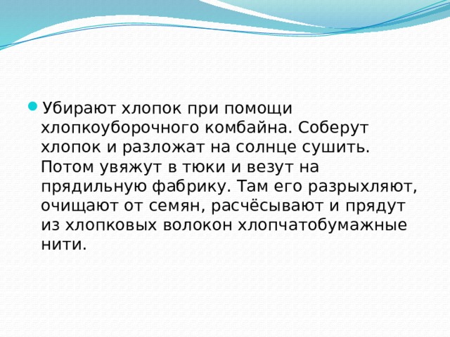 Убирают хлопок при помощи хлопкоуборочного комбайна. Соберут хлопок и разложат на солнце сушить. Потом увяжут в тюки и везут на прядильную фабрику. Там его разрыхляют, очищают от семян, расчёсывают и прядут из хлопковых волокон хлопчатобумажные нити. 
