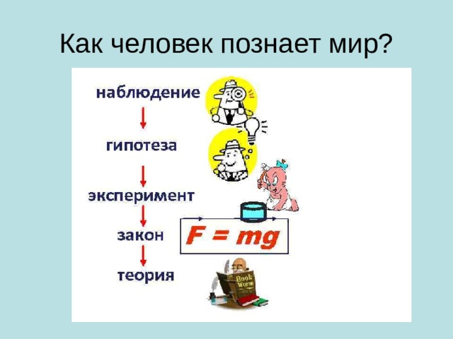 Как человек познает мир? 