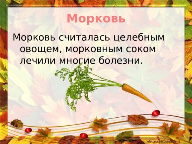 Морковь Морковь считалась целебным овощем, морковным соком лечили многие болезни. 