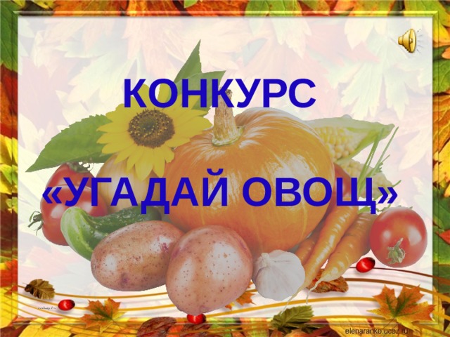 Конкурс   «Угадай овощ» 