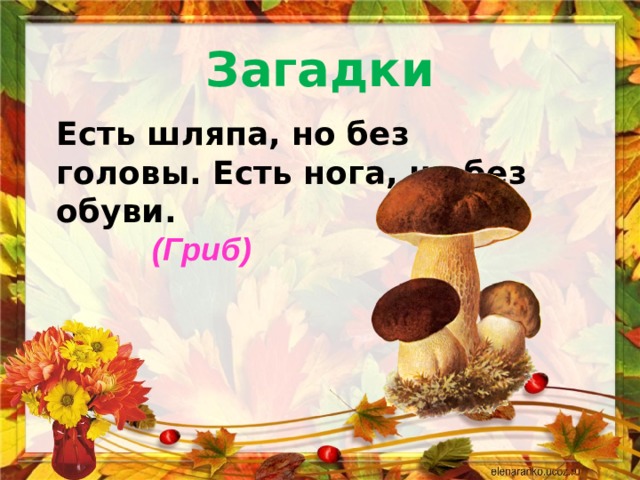 Загадки Есть шляпа, но без головы. Есть нога, но без обуви.    (Гриб) 