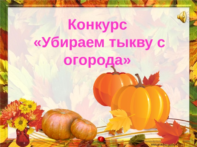 Конкурс  «Убираем тыкву с огорода» 