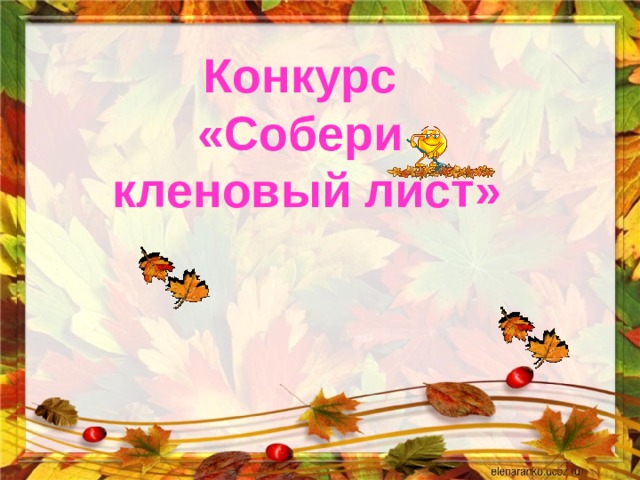 Конкурс «Собери кленовый лист»  