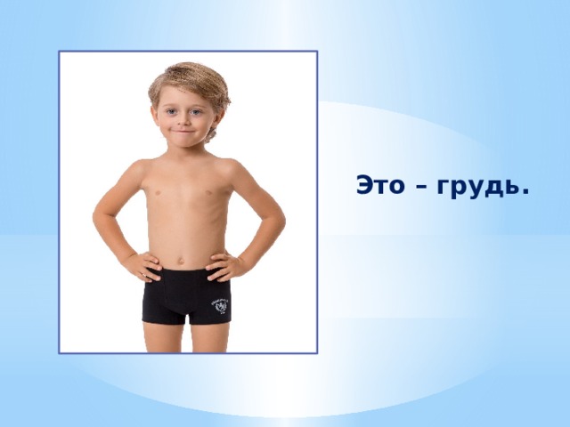 Это – грудь. 