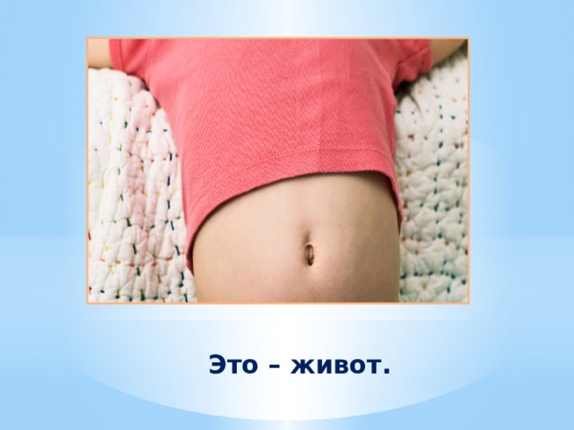 Это – живот. 