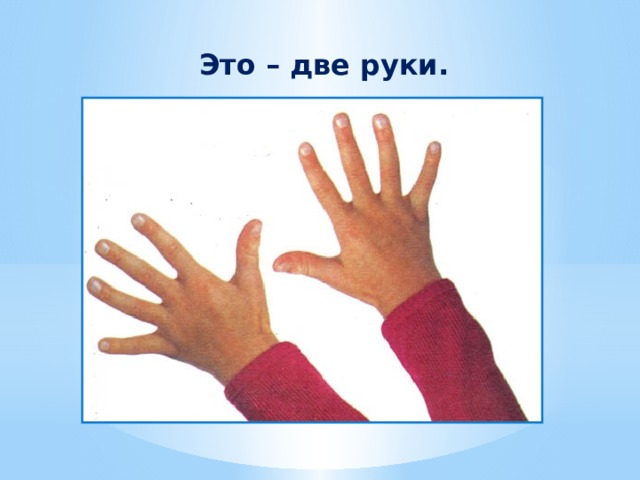 Это – две руки. 