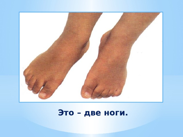 Это – две ноги.  