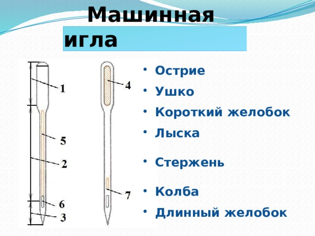   Машинная игла Острие Ушко Короткий желобок Лыска  Стержень  Колба Длинный желобок 