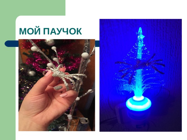 МОЙ ПАУЧОК 