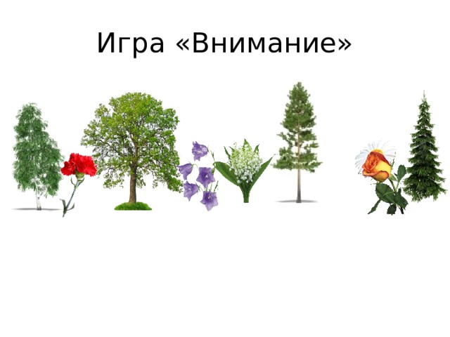 Игра «Внимание» Сформировать представление о сложении как объединении совокупностей предметов. Познакомить с записью сложения, знаком «+». Ввести в речевую практику «слагаемое», «сумма», «выражение». Развивать умение употреблять в речи термины.  