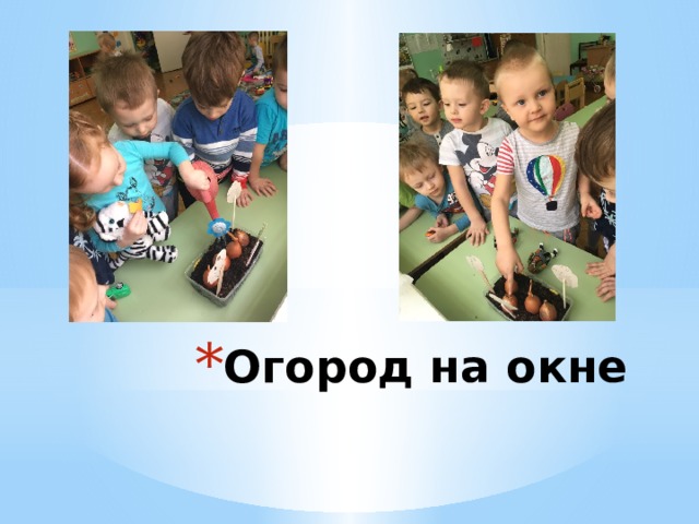 Огород на окне 