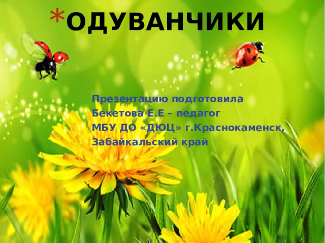 ОДУВАНЧИКИ Презентацию подготовила Бекетова Е.Е – педагог МБУ ДО «ДЮЦ» г.Краснокаменск, Забайкальский край 