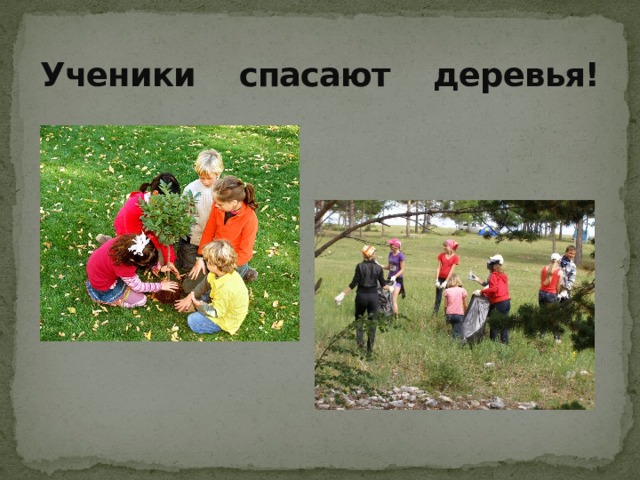 Ученики спасают деревья! 