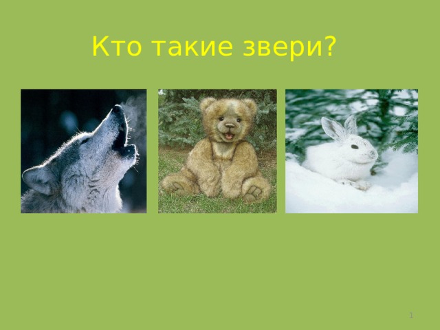 Кто такие звери?  
