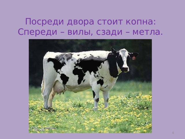 Посреди двора стоит копна:  Спереди – вилы, сзади – метла.  