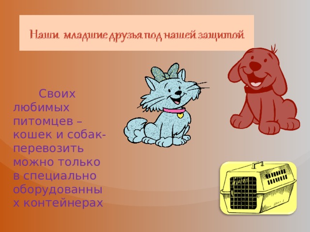  Своих любимых питомцев – кошек и собак- перевозить можно только в специально оборудованных контейнерах 
