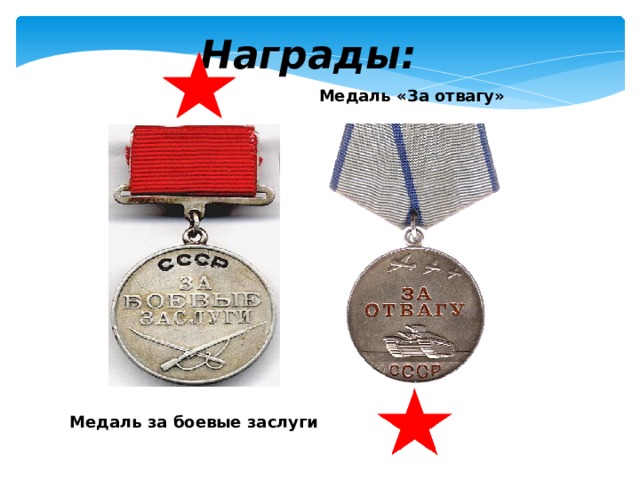 Награды: Медаль «За отвагу» Медаль за боевые заслуги  