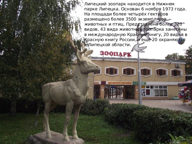Липецкий зоопарк находится в Нижнем парке Липецка. Основан 6 ноября 1973 года. На площади более четырёх гектаров размещено более 3500 экземпляров животных и птиц. Представлено более 320 видов, 43 вида животных зоопарка занесены в международную Красную книгу, 20 видов в Красную книгу России, и ещё 20 охраняются в Липецкой области.  