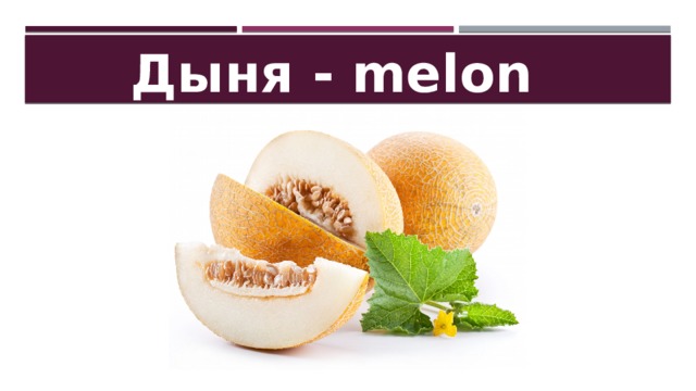 Дыня - melon 